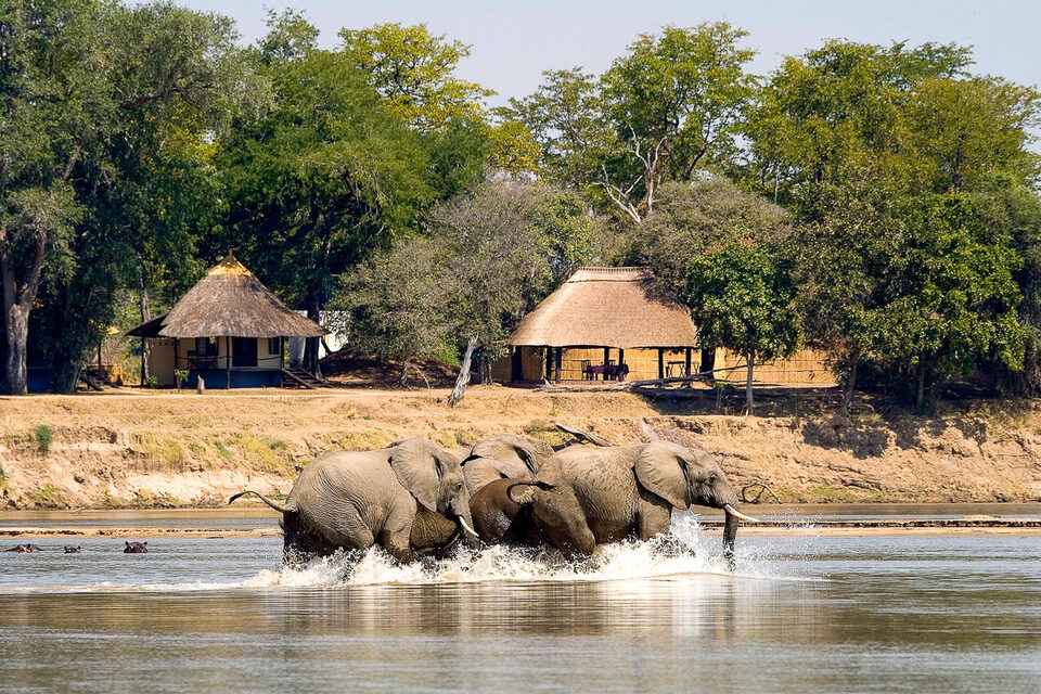 South Luangwa, Zambia